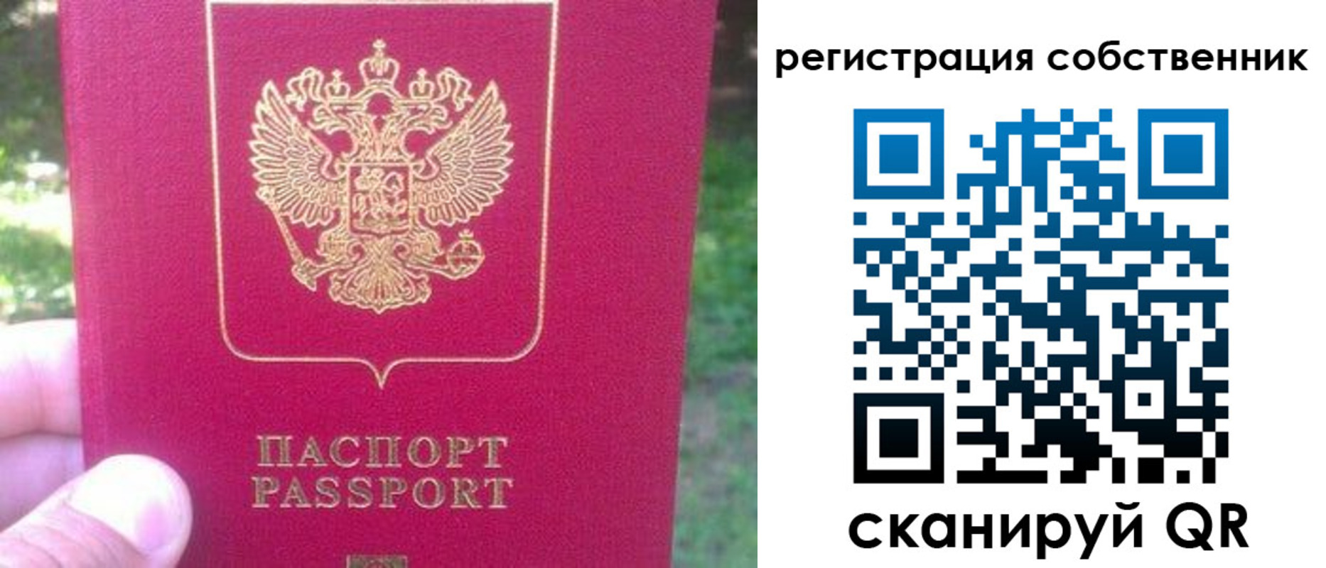 временная регистрация 2025 в Плавске